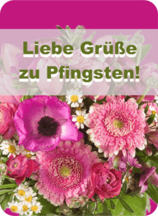 Liebe Grüße zu Pfingsten!