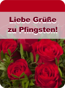 Liebe Grüße zu Pfingsten!